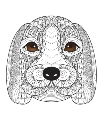 Zentangle pattern dog head cartoon, intricate mandala dog coloring page and beagle puppy black and white art on white