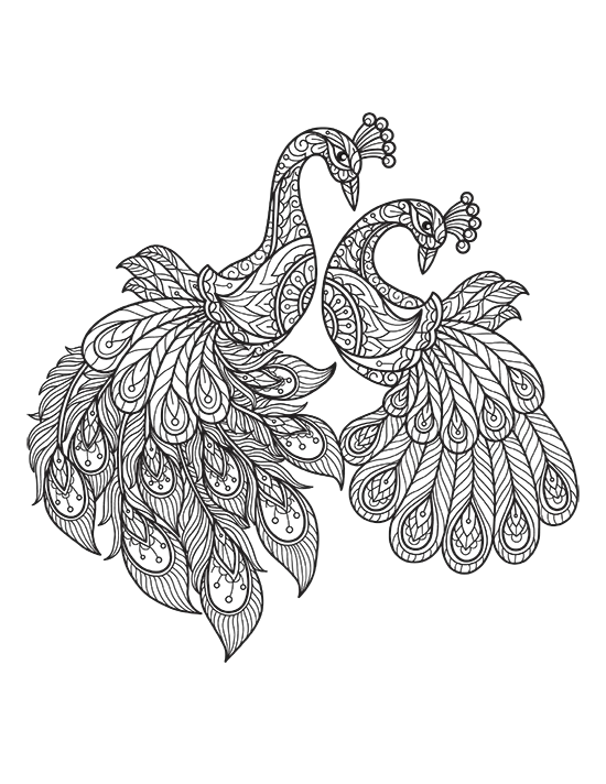 animal adult coloring page