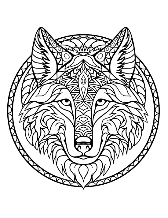 Animal Coloring Pages Adults