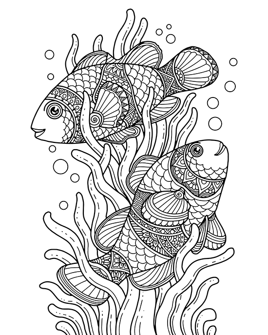 Free Adult Coloring Book
