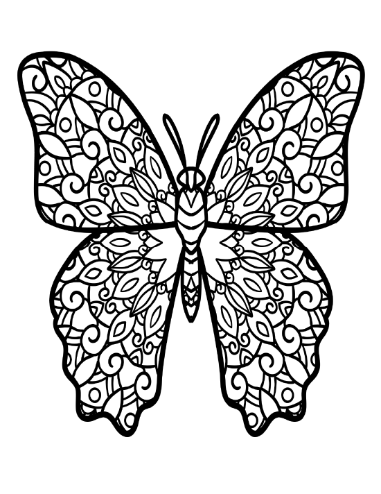 Butterfly coloring page 9