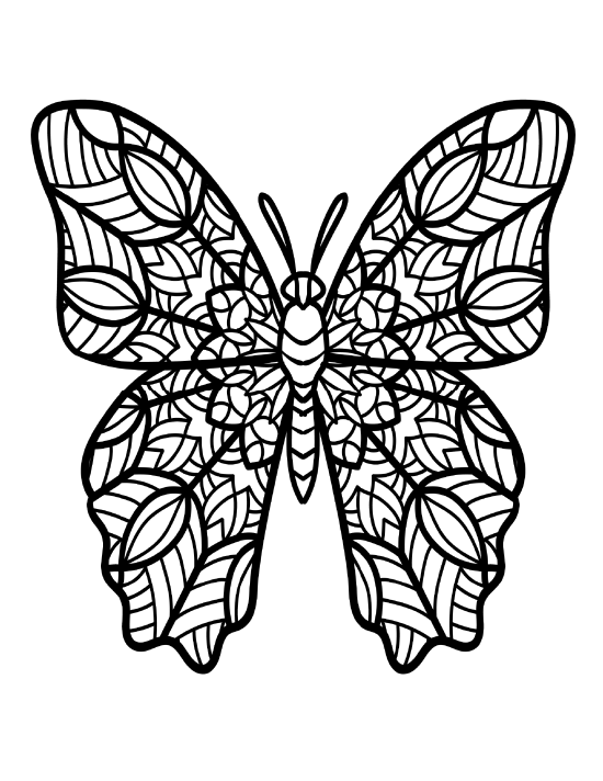 Butterfly coloring page 2