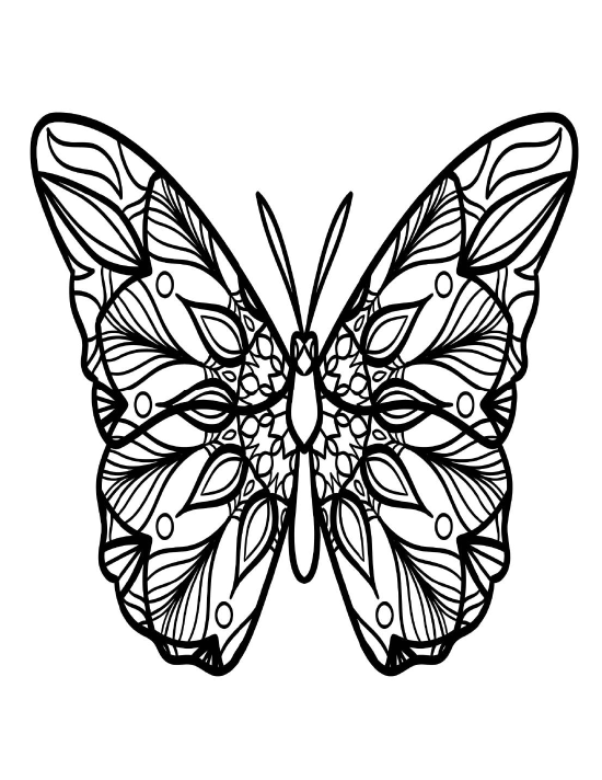 Butterfly coloring page 7