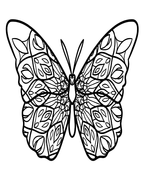 Detailed butterfly coloring page with intricate wing patterns