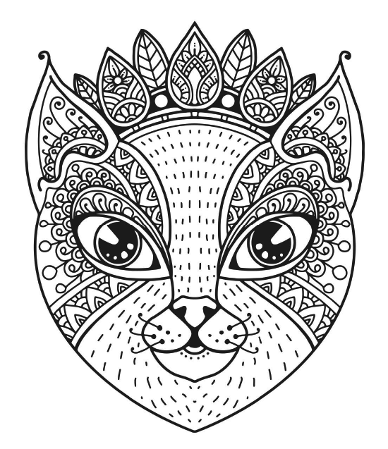 Cat coloring page with adorable kittens