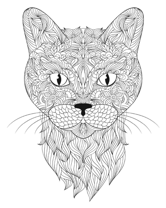 Cat coloring page with detailed patterns