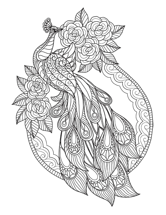 Free printable peacock animal coloring page with roses, featuring intricate patterns.