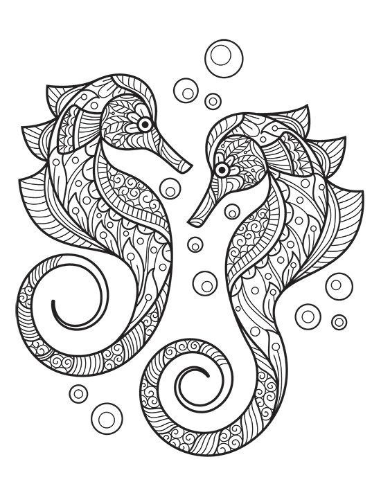 Two intricate seahorse coloring page with bubbles.