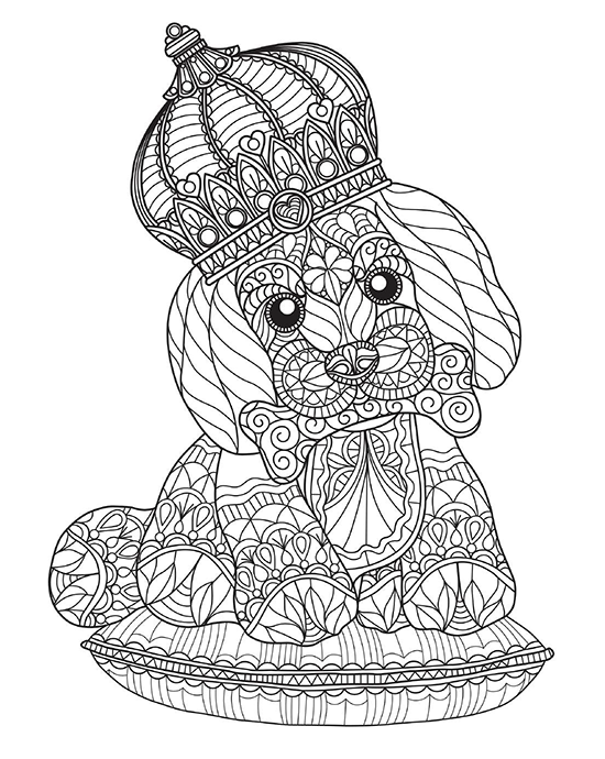 Mandala puppy dog with crown adult coloring page.