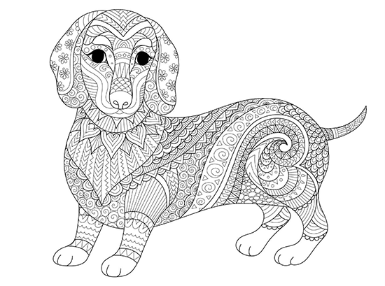 Animal adult coloring books printable
