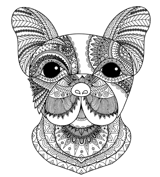 Animal adult coloring books printable