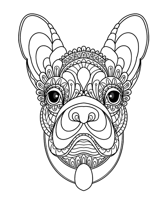 Animal adult coloring books printable