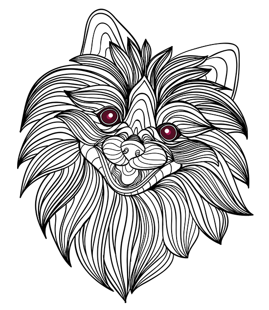 animal adult coloring books printable