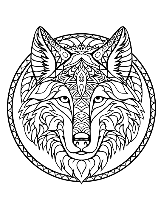 animal adult coloring books printable