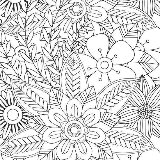 Blooming Flowers – Volume 2