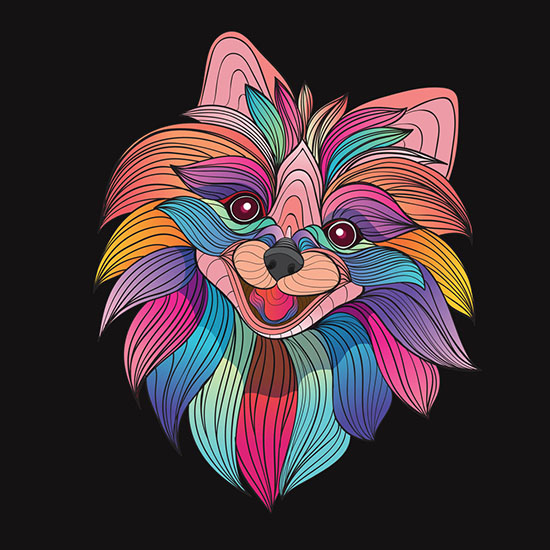 Dog Coloring Book