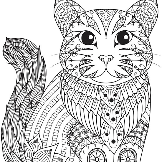 Cat Coloring Book