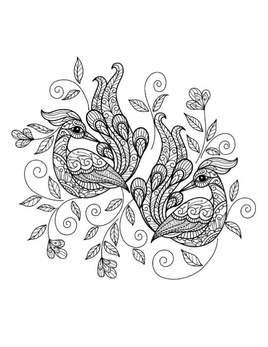 adult-animal-coloring-pages - Page 10