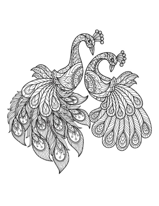 adult-animal-coloring-pages - Page 12