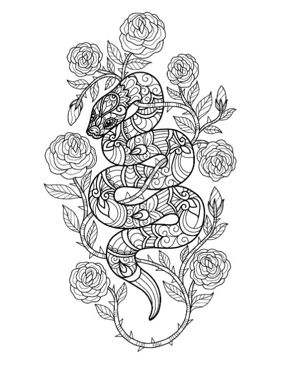 adult-animal-coloring-pages - Page 13