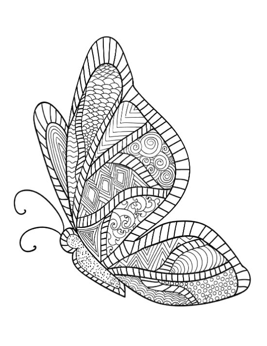 adult-animal-coloring-pages - Page 17