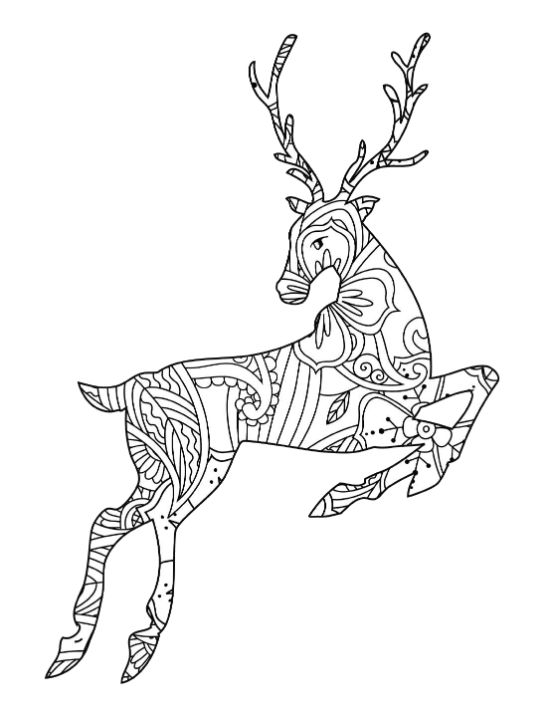 adult-animal-coloring-pages - Page 18