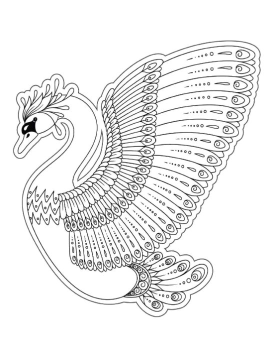 adult-animal-coloring-pages - Page 21