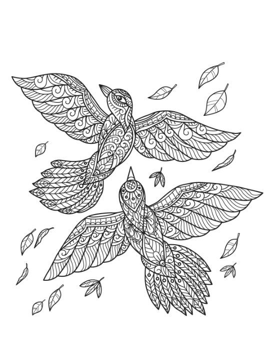 adult-animal-coloring-pages - Page 25