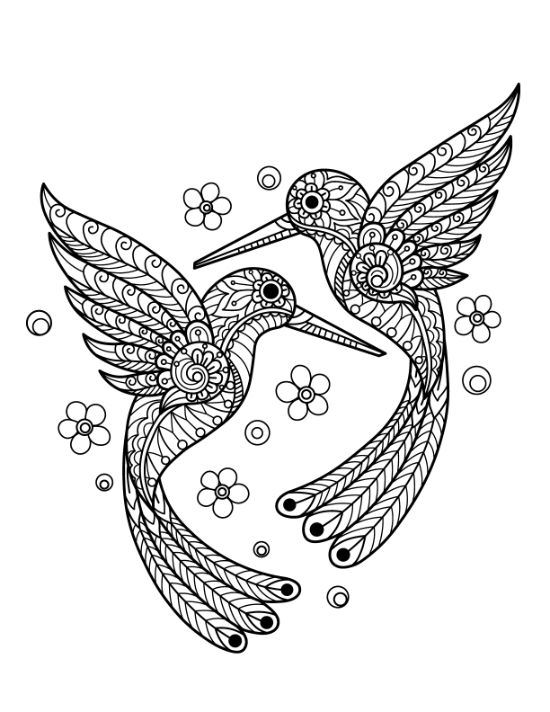 adult-animal-coloring-pages - Page 26