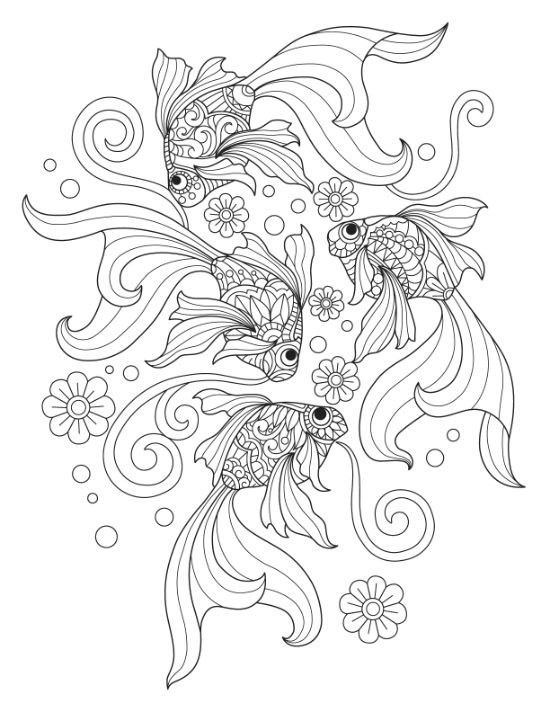 adult-animal-coloring-pages - Page 32