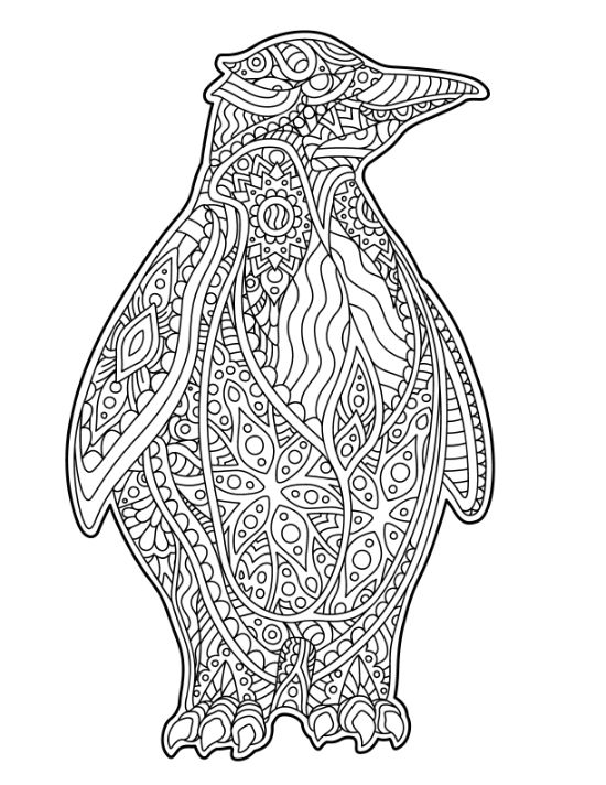 adult-animal-coloring-pages - Page 42