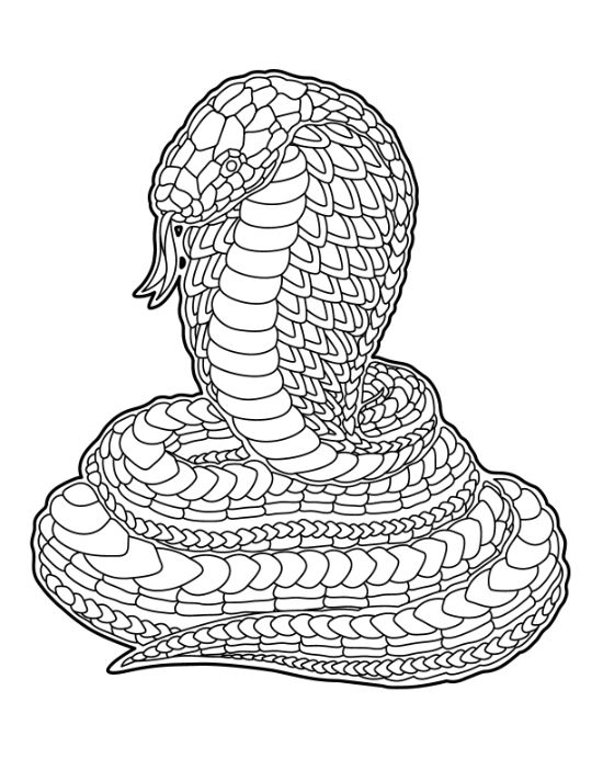 adult-animal-coloring-pages - Page 44