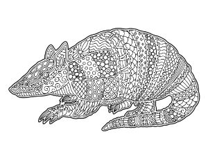 adult-animal-coloring-pages - Page 45