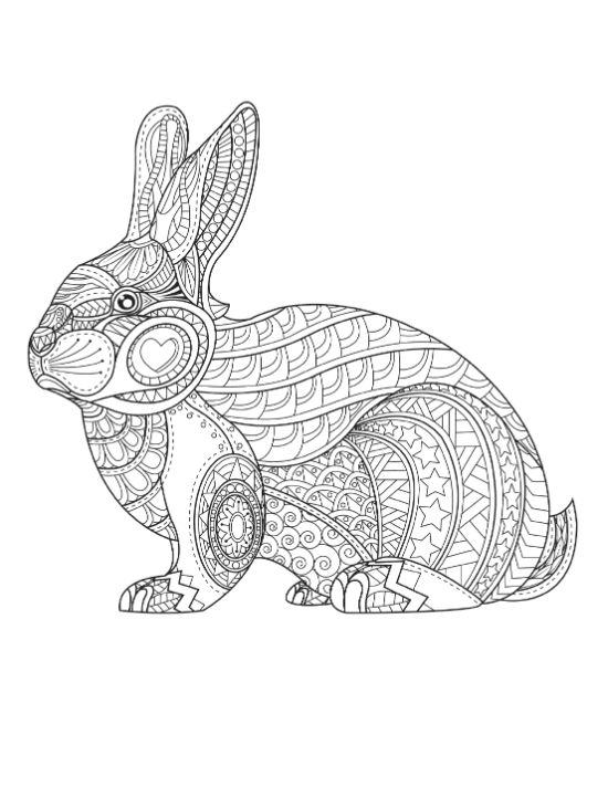 adult-animal-coloring-pages - Page 47