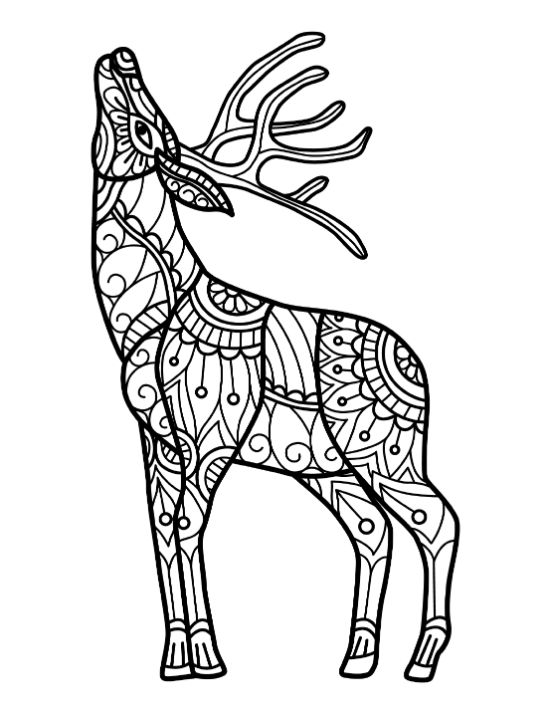 adult-animal-coloring-pages - Page 8
