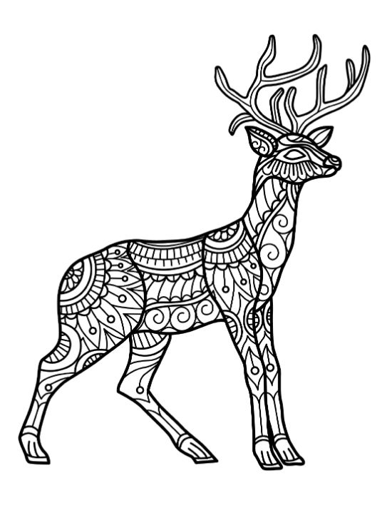 adult-animal-coloring-pages - Page 9