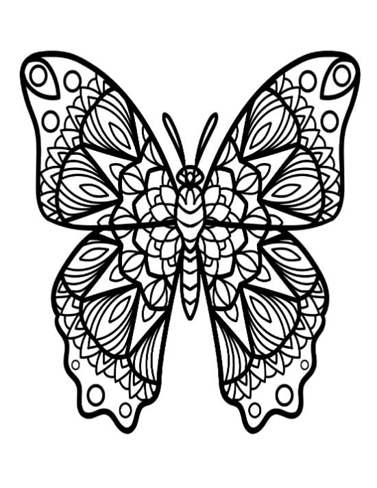 Butterfly with delicate patterns and bold lines, great for coloring page.