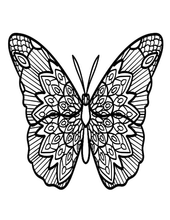 Detailed butterfly with intricate patterns on its wings coloring page.