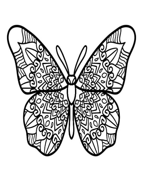adult-butterfly-coloring-pages-with-mandalas-by-coloring-therapy - Page 17