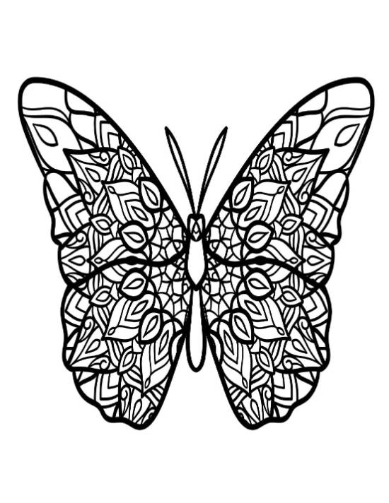 Intricate butterfly with symmetrical patterned wings detailed in a coloring page.