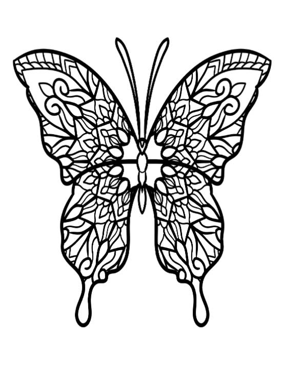 Butterfly with intricate patterns on its wings, featuring swirls and floral designs coloring page.