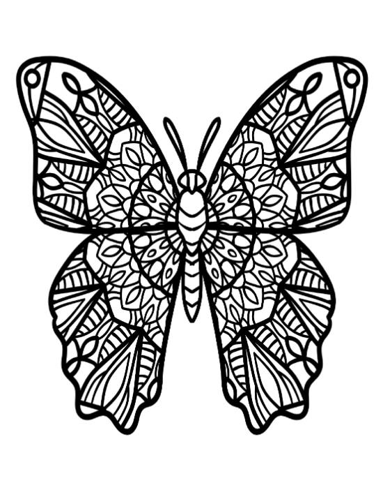 Butterfly with detailed, symmetrical patterns on its wings coloring page.