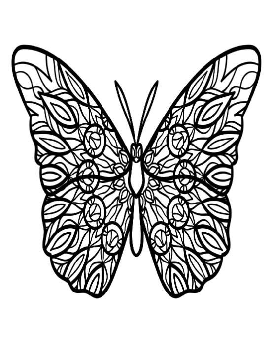Intricate butterfly with mandala patterns on its wings, coloring page.