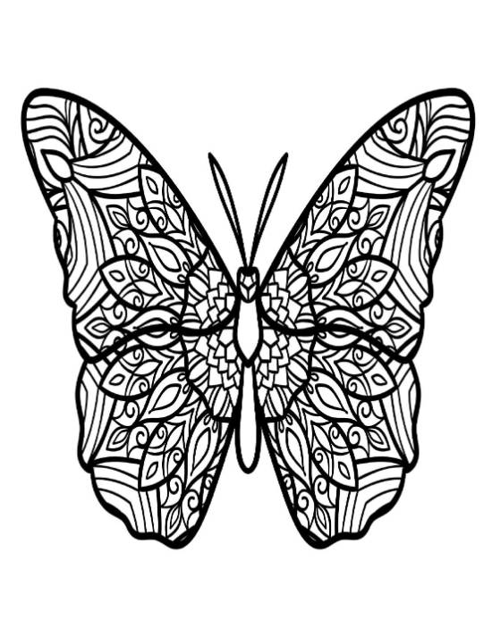 Ornate butterfly with detailed geometric and floral patterns coloring page.