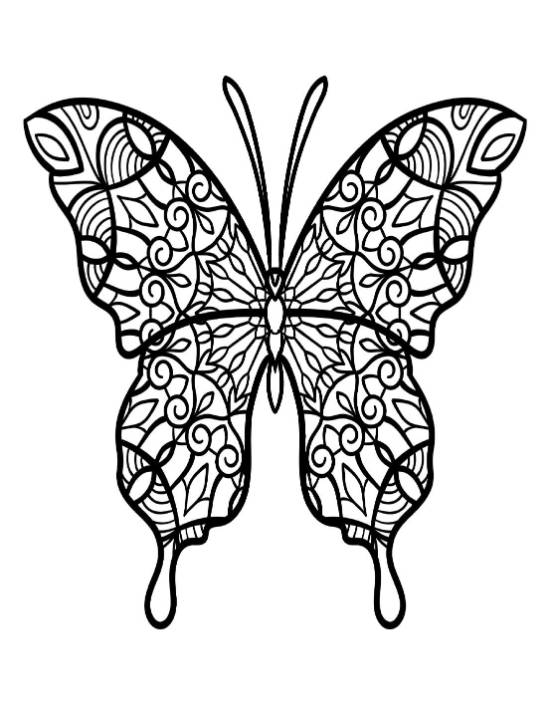 Ornate butterfly with patterned wings featuring spirals and arcs coloring page.