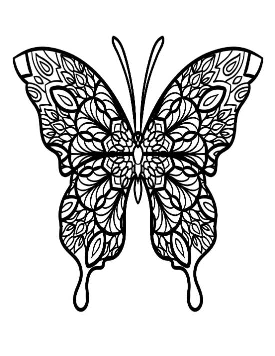 Intricate butterfly with symmetrical patterned wings for a detailed coloring page.