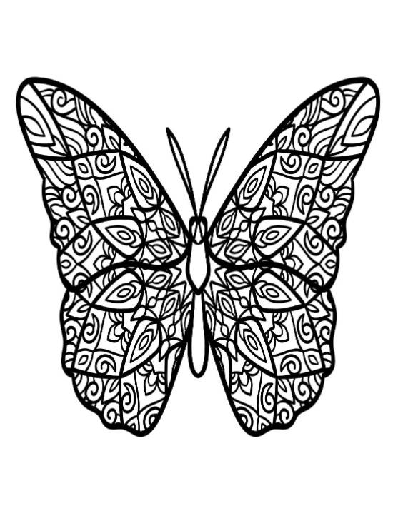 Intricate butterfly with symmetrical patterned wings, perfect for mindfulness coloring page.
