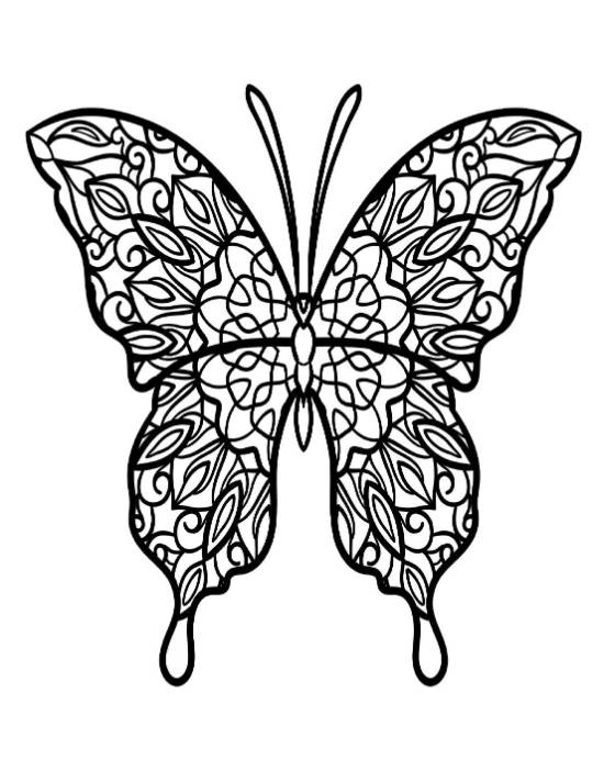 Intricate butterfly with symmetrical, swirling patterns and bold outlines coloring page.
