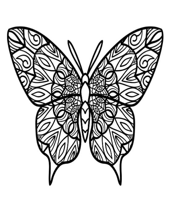 Intricate butterfly with delicate patterns and mandala-like center coloring page
