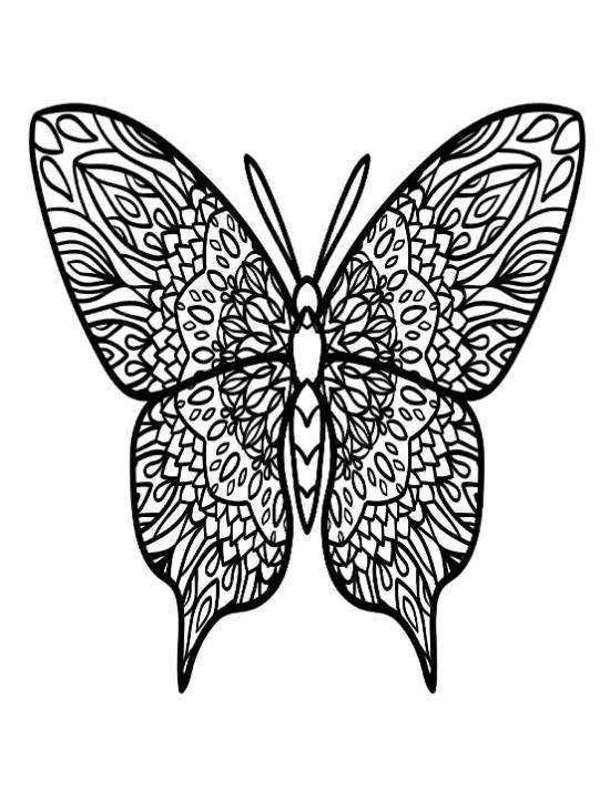 Detailed butterfly with intricate patterns on its wings, coloring page